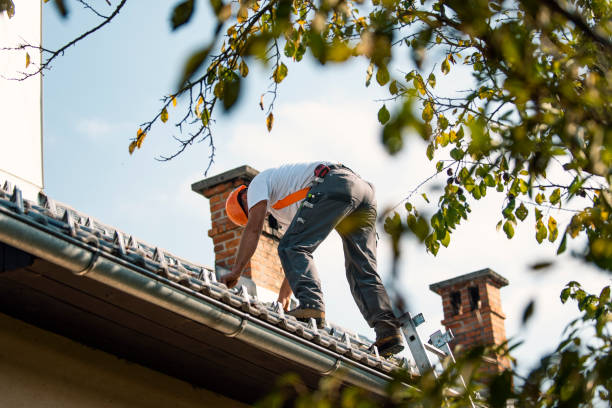 Best Roof Repair Services  in Quinebaug, CT