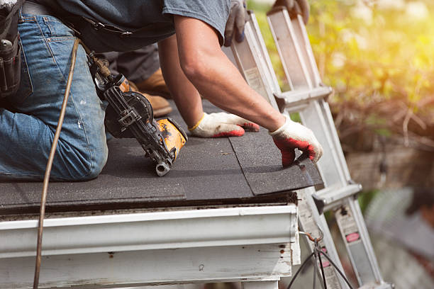 Best Storm Damage Roof Repair  in Quinebaug, CT