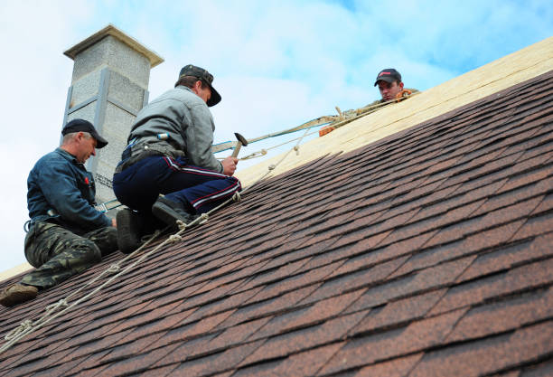 Best Roof Leak Repair  in Quinebaug, CT