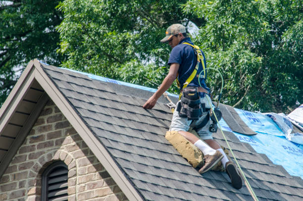 Best Roof Gutter Cleaning  in Quinebaug, CT